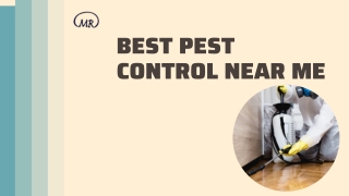 Best pest control near me