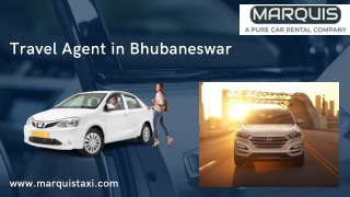 Travel Agent in Bhubaneswar