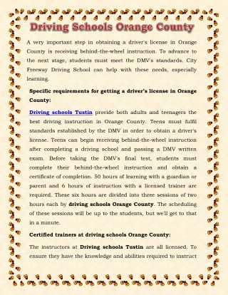 Driving Schools Orange County