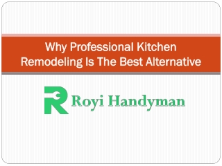 Professional Kitchen Remodeling by Royi Handyman