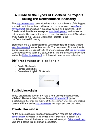 A Guide to the Types of Blockchain Projects Ruling the Decentralized Economy