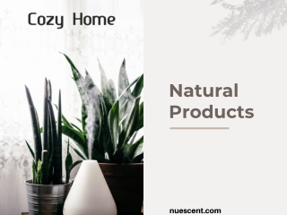 Product by Nuescent