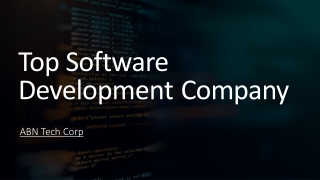 USA's top software development company