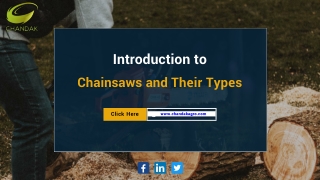 Introduction to Chainsaws and Their Types