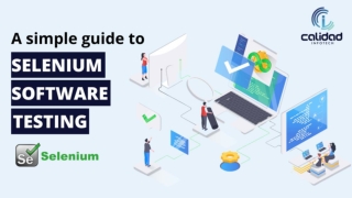 A Simple Guide to Selenium Software Testing