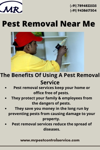 Get End-To-End Pest Removal Near Me From MR Pest Control