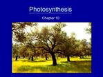 Photosynthesis