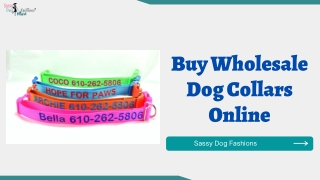 Buy Wholesale Dog Collars Online