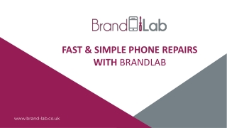 HOW THE BRANDLAB REPAIR SERVICE WORKS