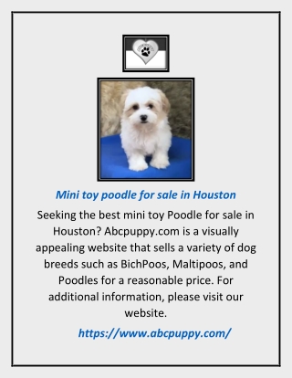 Mini toy poodle for sale in Houston