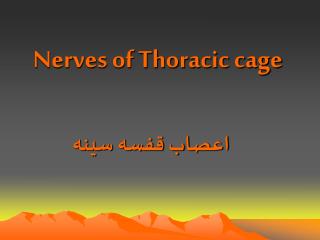 Nerves of Thoracic cage