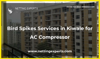 Bird Spikes Services in Kiwale for AC Compressor