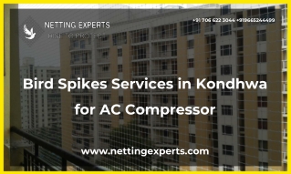Bird Spikes Services in Kondhwa for AC Compressor