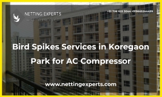 Bird Spikes Services in Koregaon Park for AC Compressor