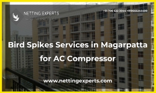 Bird Spikes Services in Magarpatta for AC Compressor