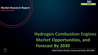 Hydrogen Combustion Engines Market Revenue Growth and Quantitative Analysis Till