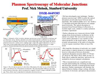 Plasmon Spectroscopy of Molecular Junctions