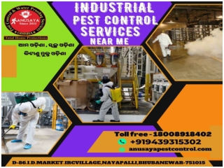 Pest Control Service Near Me