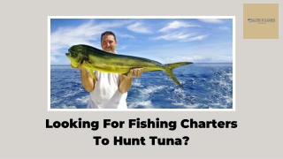 Do Enjoy With Tuna Fishing Charters at Hate2Lose