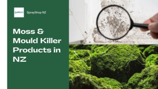 Moss & Mould Killer Products in NZ