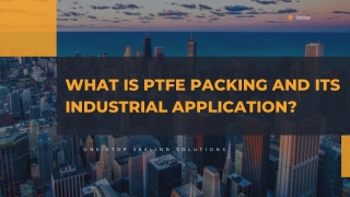 What is PTFE Packing