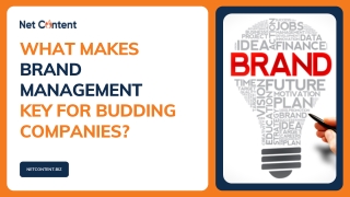 Top 5 Brand Management Tips For Budding Companies