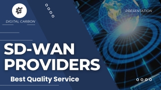 Best High Quality SD-WAN Services| Digital Carbon