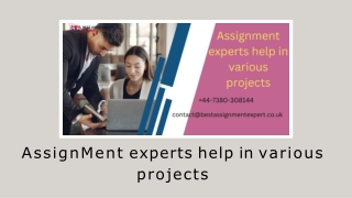 Assignment experts help in various projects