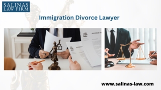 Immigration Divorce Lawyer