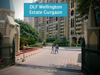 3 BHK Apartment for Sale on DLF Phase 5 in Gurgaon - DLF Wellington Estate