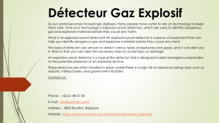 Détecteur Gaz Explosif