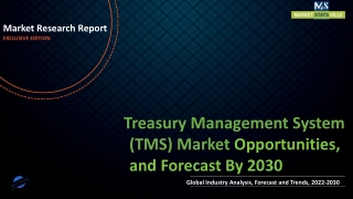 Treasury Management System (TMS) Market Revenue Growth and Quantitative Analysis