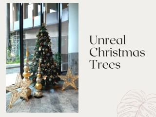 Unique & Brightly Decorated Christmas Trees for Sale to Deck Up Your Space