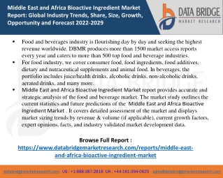 Middle East and Africa Bioactive Ingredient Market report