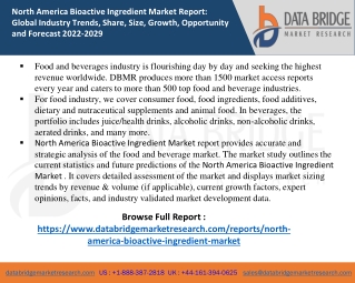North America Bioactive Ingredient Market report