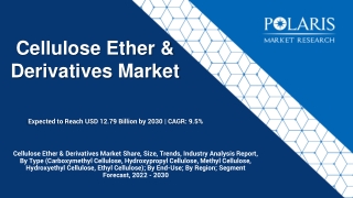 Cellulose Ether & Derivatives Market