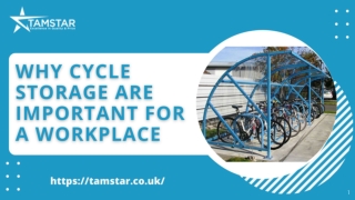 WHY CYCLE STORAGE ARE IMPORTANT FOR A WORKPLACE