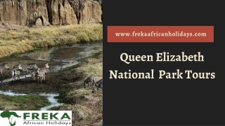 Queen Elizabeth National Park Tours