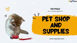 KitiFISH | KitiFISH Num Mini 8 | KitiFISH Toy | MayMaw