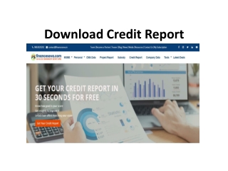 Download Credit Report