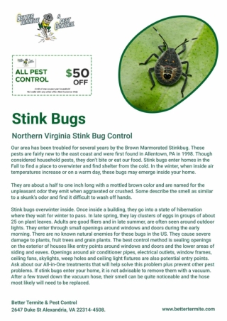 Northern Virginia Stink Bug Control