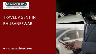 Best Travel Agent in Bhubaneswar
