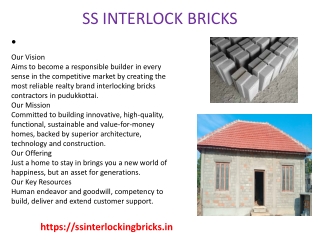 SS INTERLOCK BRICKS