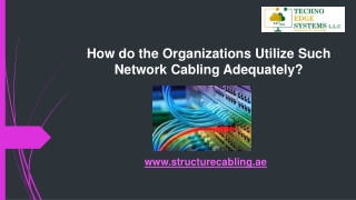 How do the Organizations Utilize Such Network Cabling