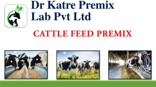 Cattle Feed Premix By Dr Katre Premix Lab Pvt Ltd