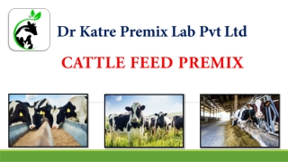 Cattle Feed Premix By Dr Katre Premix Lab Pvt Ltd