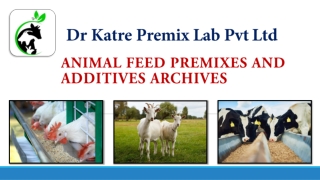 Animal feed Premixes and additives archives by Dr Katre Premix Lab Pvt Ltd