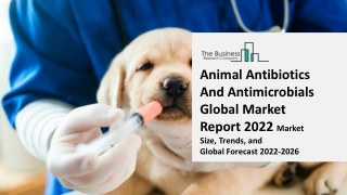 Animal Antibiotics And Antimicrobials Global Market Strategies, Trends, Companies, Growth Opportunities and Regional For