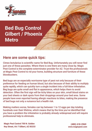 Bed Bug Control Gilbert  | pest control gilbert az