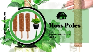 Get The Best Moss Poles with Best price at Green Barn Orchid